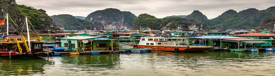 Cai Beo Floating Village